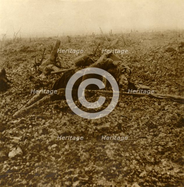 Dead soldier on Hill 304, after the Battle of Verdun, northern France, 1916. Artist: Unknown.
