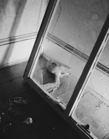 Dead squirrel in a wrecked home on Independence Avenue, Washington, D.C, 1942. Creator: Gordon Parks