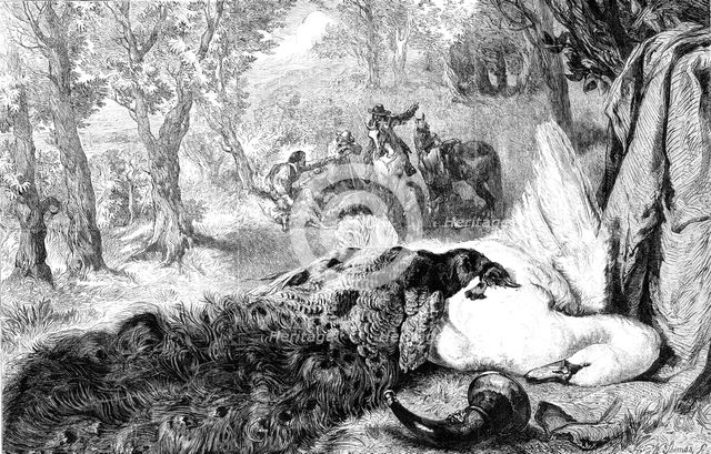 "Dead Swan and Peacock", by the late W. Duffield, 1864. Creator: W Thomas.