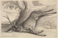 Dead stag, 1646. Creator: Wenceslaus Hollar