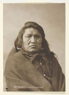Deaf Bull, c. 1880. Creator: Laton Alton Huffman