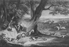 Death of the Fox 1793. Creator: Thomas Cook