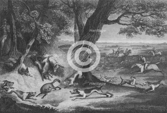 'Death of the Fox', 1793. Creator: Thomas Cook.