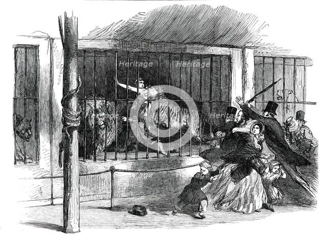 Death of the "Lion Queen", in Wombwell's Menagerie, at Chatham, 1850. Creator: Unknown.