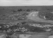 Debris left out on the flats where squatters camp stood, Kern County, 1939. Creator: Dorothea Lange