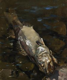 Decaying Sander, 1884. Creator: Akseli Gallen-Kallela