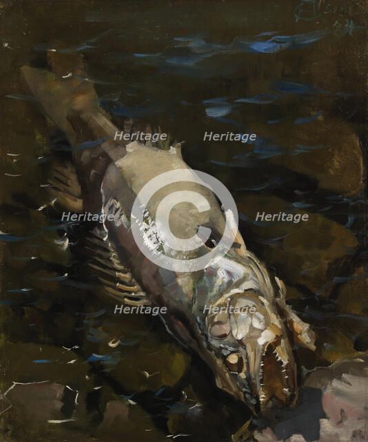 Decaying Sander, 1884. Creator: Akseli Gallen-Kallela.