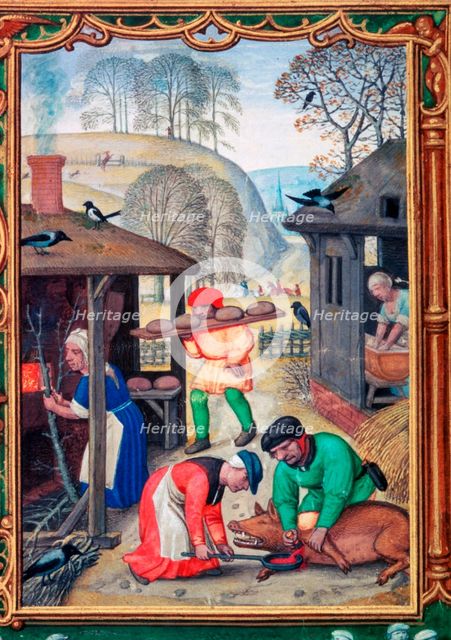 December, slaughtering the pig, 1520. Artist: Gerhard Hoornbach