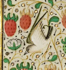 Decorated Border with a Bird and Strawberries; Boethius, Consolation de philosophie, about 1460-1470 Creator: Unknown
