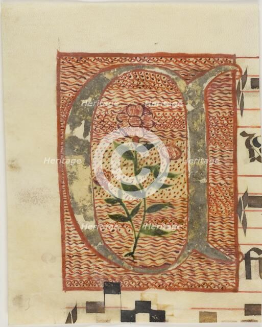 Decorated Initial "A" with Flower from a Manuscript, n.d. Creator: Unknown.
