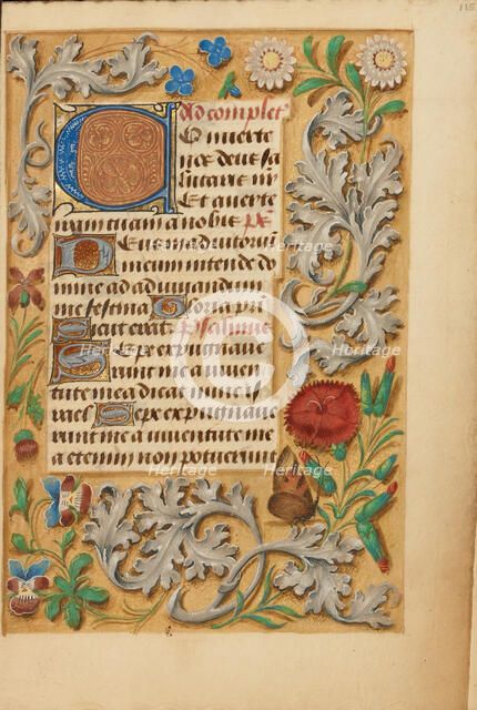 Decorated Initial C; Crohin-La Fontaine Hours, about 1480-1485 ?. Creator: Unknown.