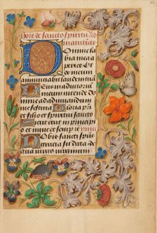 Decorated Initial D; Crohin-La Fontaine Hours, about 1480-1485 ?. Creator: Unknown