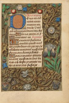 Decorated Initial D; Crohin-La Fontaine Hours, about 1480-1485 ?. Creator: Unknown