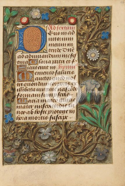 Decorated Initial D; Crohin-La Fontaine Hours, about 1480-1485 ?. Creator: Unknown.