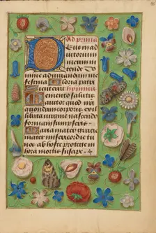 Decorated Initial D; Crohin-La Fontaine Hours, (about 1480-1485?). Creator: Unknown