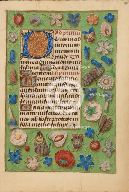 Decorated Initial D; Crohin-La Fontaine Hours, (about 1480-1485?). Creator: Unknown.