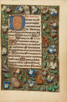 Decorated Initial D; Crohin-La Fontaine Hours, about 1480-1485 ?. Creator: Master of the Dresden Prayer Book