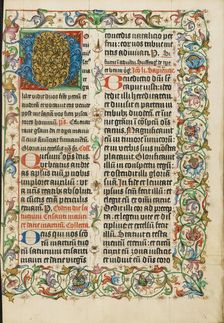 Decorated Initial D; Missal, about 1500-1505. Creator: Unknown