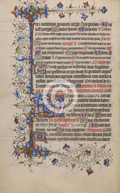 Decorated Initial D; Psalter, 1420-1430. Creator: Unknown.