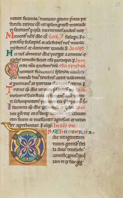 Decorated Initial D; Stammheim Missal, probably 1170s. Creator: Unknown.