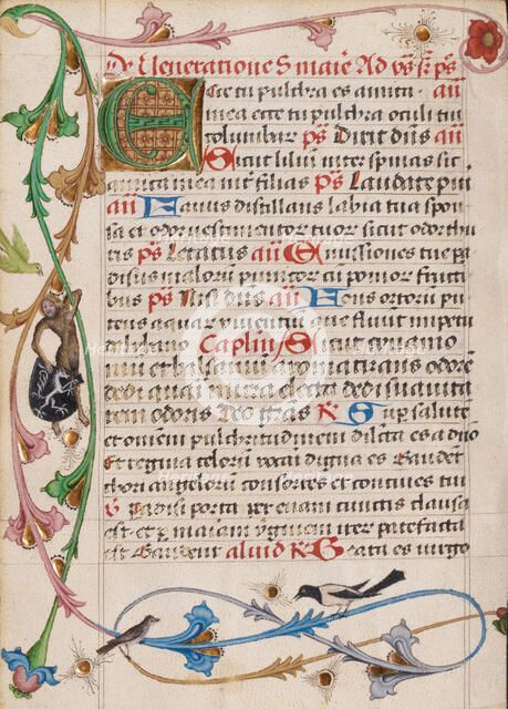 Decorated Initial E; Diurnal, about 1485. Creator: Unknown.