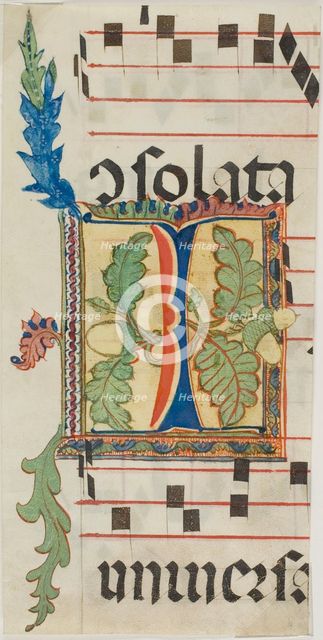 Decorated Initial "I" with Acorns and Leaves from a Choir Book, n.d., probably a modern copy. Creator: Unknown.