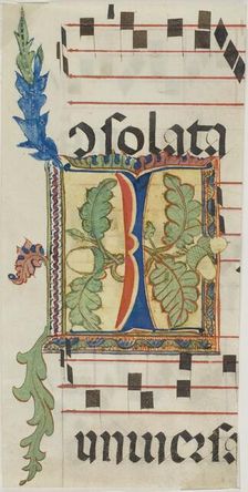 Decorated Initial "I" with Acorns and Leaves from a Choir Book, n.d., probably a modern copy. Creator: Unknown