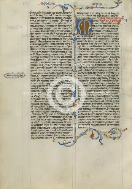 Decorated Initial M; Abbey Bible, about 1250-1262. Creator: Unknown.