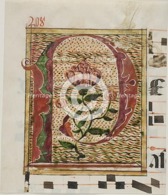 Decorated Initial "P" with Flowers from a Manuscript, n.d. Creator: Unknown.