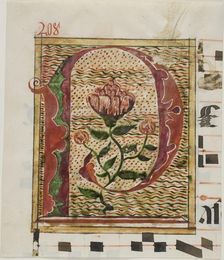 Decorated Initial "P" with Flowers from a Manuscript, n.d. Creator: Unknown