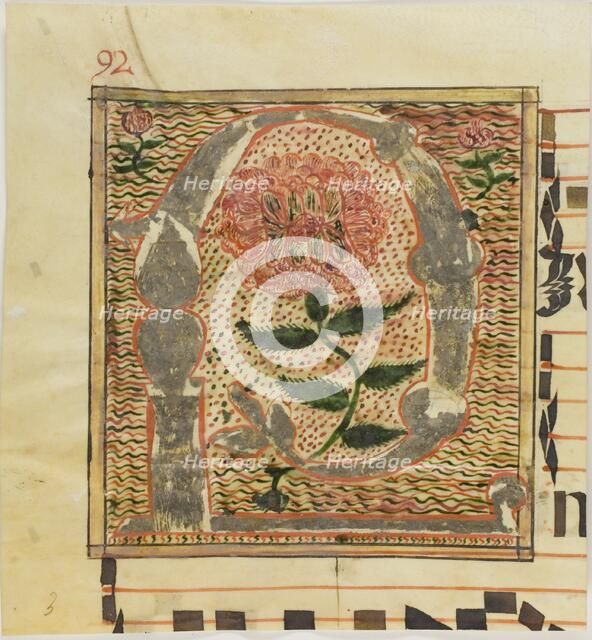 Decorated Initial "P" with Roses from a Manuscript, n.d. Creator: Unknown.