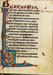 Decorated Initial Q; Psalter, third quarter of 13th century. Creator: Unknown