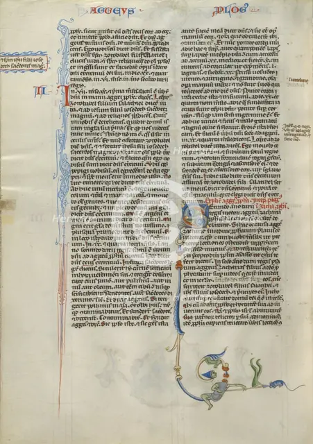 Decorated Initial S; Abbey Bible, about 1250-1262. Creator: Unknown.