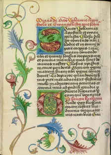 Decorated Initial S; Prayer Book; Decorated Initial G, about 1470-1480. Creator: Workshop of Valentine Noh