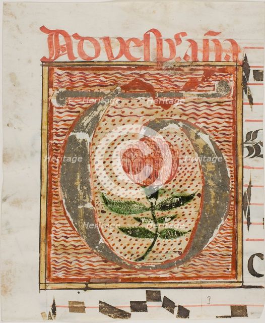 Decorated Initial "T" with Flower from a Manuscript, n.d. Creator: Unknown.