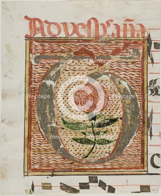 Decorated Initial "T" with Flower from a Manuscript, n.d. Creator: Unknown.