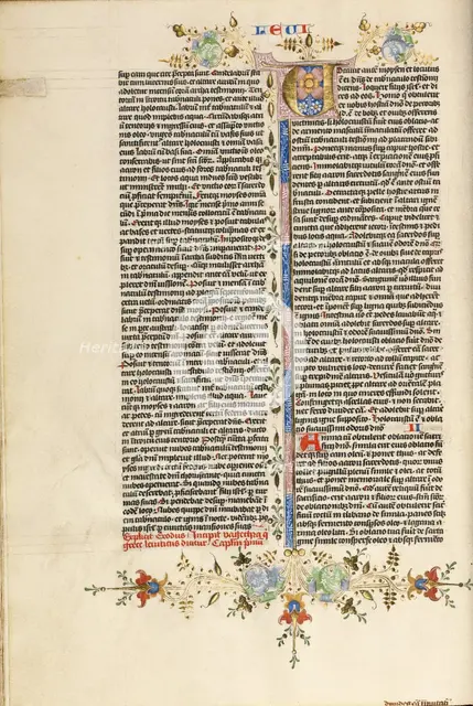 Decorated Initial V, about 1450. Creator: Circle of Stefan Lochner.