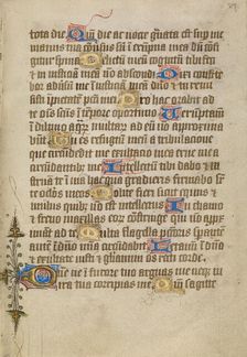 Decorated Text Page, about 1480-1490. Creator: Unknown