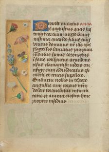 Decorated Text Page, about 1480-1490. Creator: Unknown