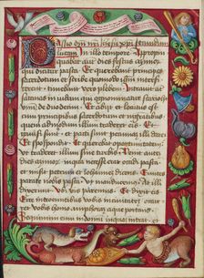 Decorated Text Page; Book of Hours, early 16th century. Creator: Unknown