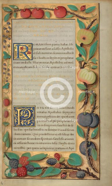 Decorated Text Page; Getty Epistles, about 1528-1530. Creator: Unknown.