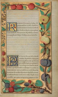 Decorated Text Page; Getty Epistles, about 1528-1530. Creator: Unknown