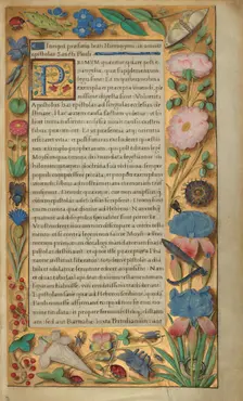 Decorated Text Page; Getty Epistles, about 1528-1530. Creator: Master of the Getty Epistles