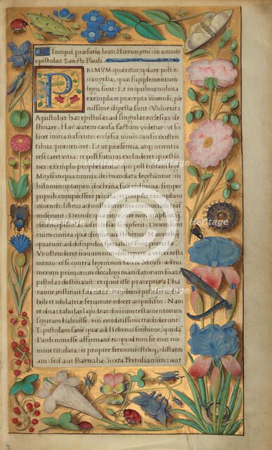 Decorated Text Page; Getty Epistles, about 1528-1530. Creator: Master of the Getty Epistles.