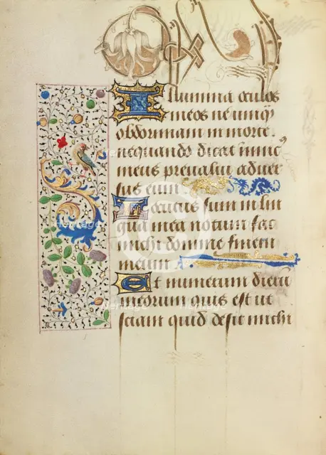 Decorated Text Page; Prayer Book of Charles the Bold, 1469. Creator: Unknown.