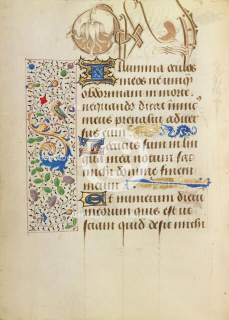 Decorated Text Page; Prayer Book of Charles the Bold, 1469. Creator: Unknown.