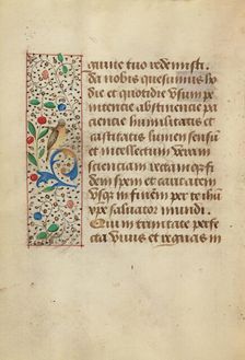 Decorated Text Page; Prayer Book of Charles the Bold, about 1480-1490. Creator: Unknown