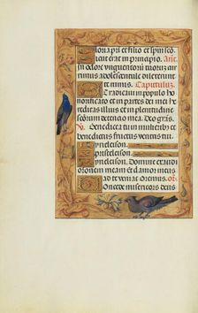 Decorated Text Page; Spinola Hours, about 1510-1520. Creator: Unknown