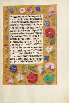 Decorated Text Page; Spinola Hours, about 1510-1520. Creator: Unknown
