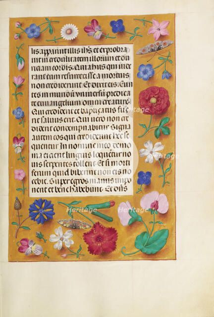 Decorated Text Page; Spinola Hours, about 1510-1520. Creator: Unknown.